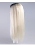 Evil Bride II Adult Women's Wig
